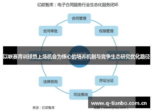 以联赛青训球员上场机会为核心的培养机制与竞争生态研究优化路径