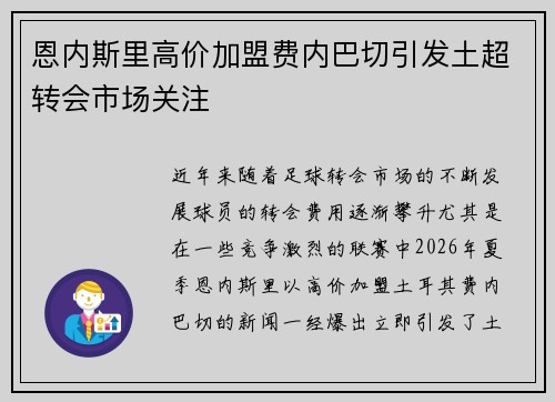 恩内斯里高价加盟费内巴切引发土超转会市场关注