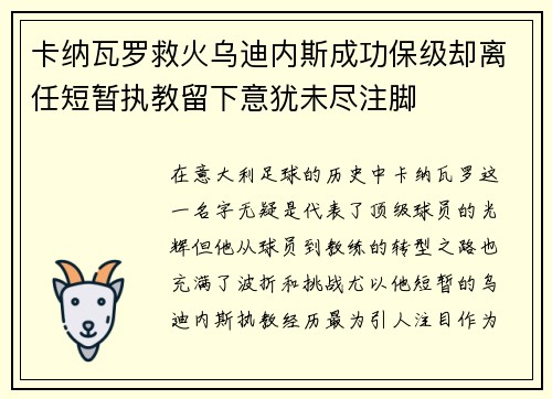 卡纳瓦罗救火乌迪内斯成功保级却离任短暂执教留下意犹未尽注脚